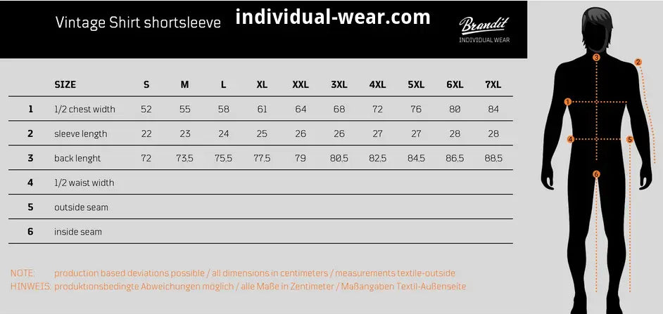 Vintage Shortsleeve Shirt Shirt - Brandit